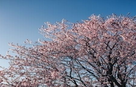 带阴锁上班警花